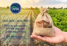 APIA: Stadiul autorizării plăților finale aferente anului de cerere 2024
