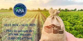 APIA: Stadiul autorizării plăților finale aferente anului de cerere 2024