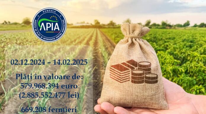 APIA: Stadiul autorizării plăților finale aferente anului de cerere 2024