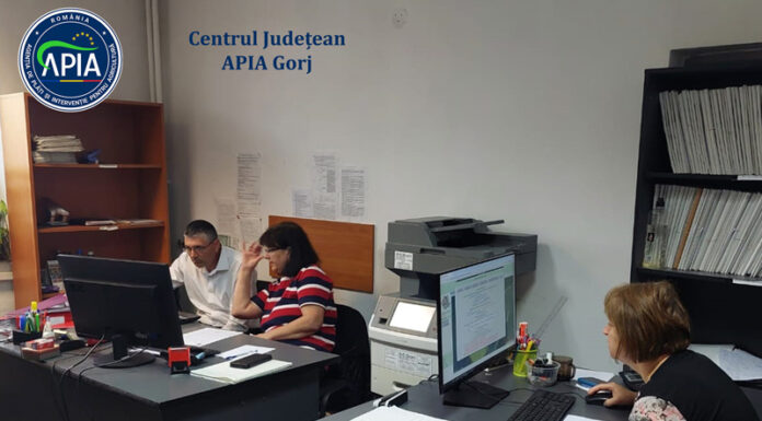 APIA Gorj a dat startul campaniei de informare pentru primirea Cererilor de Plată în anul 2025