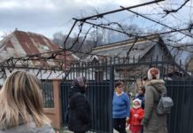 Alimpești: Recensământul câinilor cu stăpân, finalizat