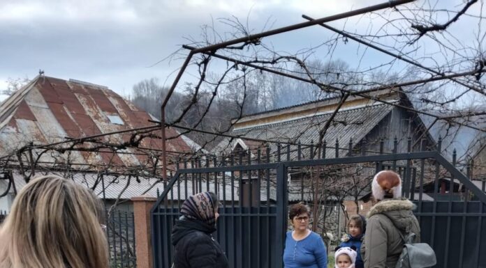 Alimpești: Recensământul câinilor cu stăpân, finalizat