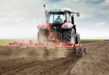 Agricultura pe înțelesul tuturor – Calendarul lucrărilor agricole în luna martie