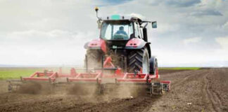 Agricultura pe înțelesul tuturor – Calendarul lucrărilor agricole în luna martie