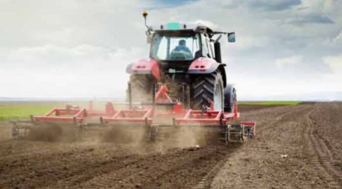 Agricultura pe înțelesul tuturor – Calendarul lucrărilor agricole în luna martie