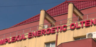 Veniturile salariaților CEO ar putea scăpa de tăierile Guvernului