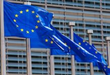 Șefii companiilor de stat vor putea fi demiși mai ușor