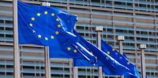 Șefii companiilor de stat vor putea fi demiși mai ușor