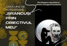 Studenții UCB organizează un concurs de fotografie și un flash mob