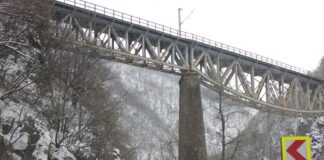 FILOZOFII HIBERNALE – DEFILEUL JIULUI ÎNTR-O ZI DE IARNĂ