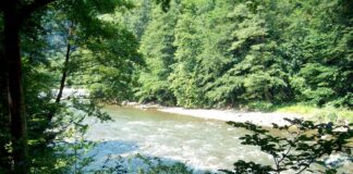 Sanctuare ale naturii – Parcul Național Defileul Jiului o minune a naturii promovat de Ambasada SUA