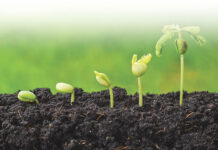 Agricultura pe înțelesul tuturor – Cum să ne protejăm ecologic grădina, casa și gospodăria