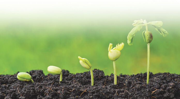 Agricultura pe înțelesul tuturor – Cum să ne protejăm ecologic grădina, casa și gospodăria