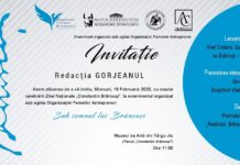 ”Sub semnul lui Brâncuși”, la Muzeul de Artă Târgu Jiu