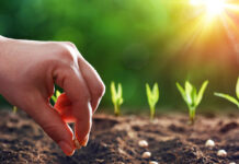 Agricultura pe înțelesul tuturor – Cum să ne protejăm ecologic grădina, casa și gospodăria