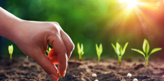 Agricultura pe înțelesul tuturor – Cum să ne protejăm ecologic grădina, casa și gospodăria