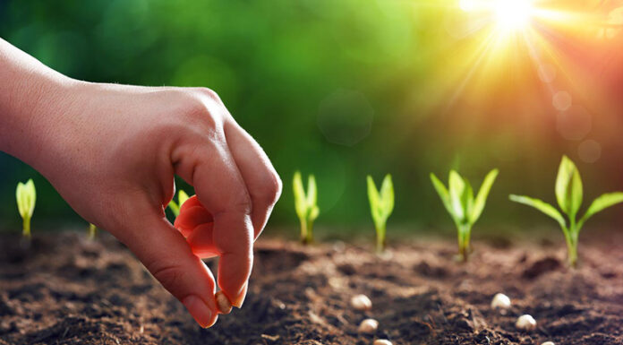 Agricultura pe înțelesul tuturor – Cum să ne protejăm ecologic grădina, casa și gospodăria