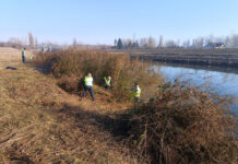 SGA Gorj: Lucrări de întreținere a digurilor de pe Jiu