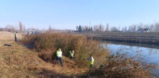 SGA Gorj: Lucrări de întreținere a digurilor de pe Jiu