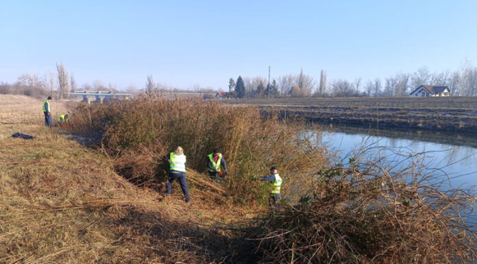 SGA Gorj: Lucrări de întreținere a digurilor de pe Jiu