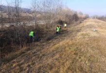 SGA Gorj: Lucrări de întreținere a digurilor de pe Jiu