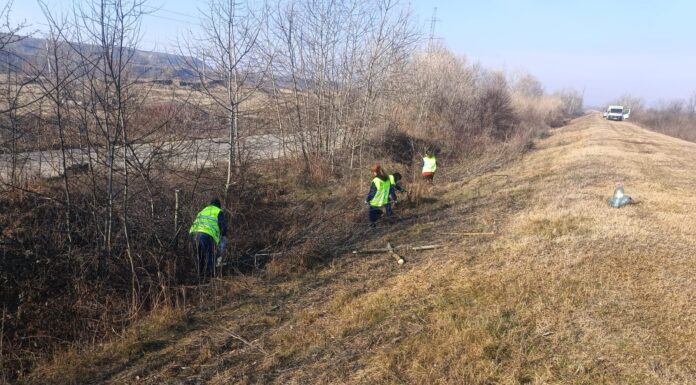 SGA Gorj: Lucrări de întreținere a digurilor de pe Jiu