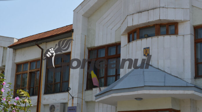 Pușcărie după ce a lovit un pădurar!