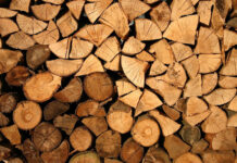 Fost polițist, afaceri ilegale cu lemn