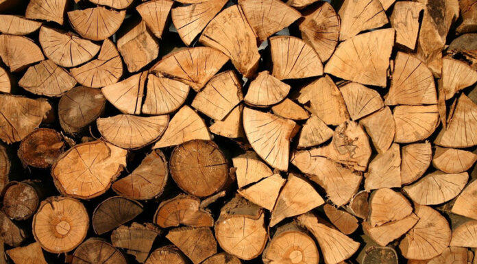 Fost polițist, afaceri ilegale cu lemn