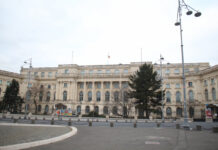 Ziua Brâncuși, sărbătorită și la Muzeul Național de Artă al României