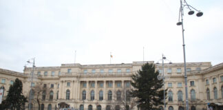 Ziua Brâncuși, sărbătorită și la Muzeul Național de Artă al României
