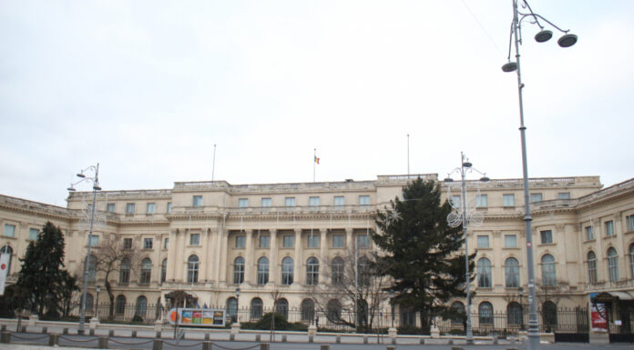 Ziua Brâncuși, sărbătorită și la Muzeul Național de Artă al României