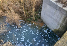 Târgu Jiu: Pârâu transformat în hazna. Amendă de 60.000 de lei