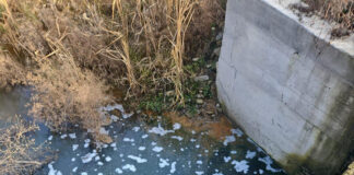 Târgu Jiu: Pârâu transformat în hazna. Amendă de 60.000 de lei