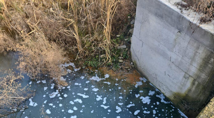 Târgu Jiu: Pârâu transformat în hazna. Amendă de 60.000 de lei