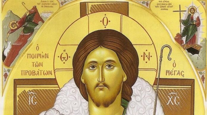 „Voi pune peste oile Mele un singur Păstor care le va paște”! – Fiecare dintre noi suntem chemaţi ca să ne apropiem de Dumnezeu, să-L căutăm cu iubire!