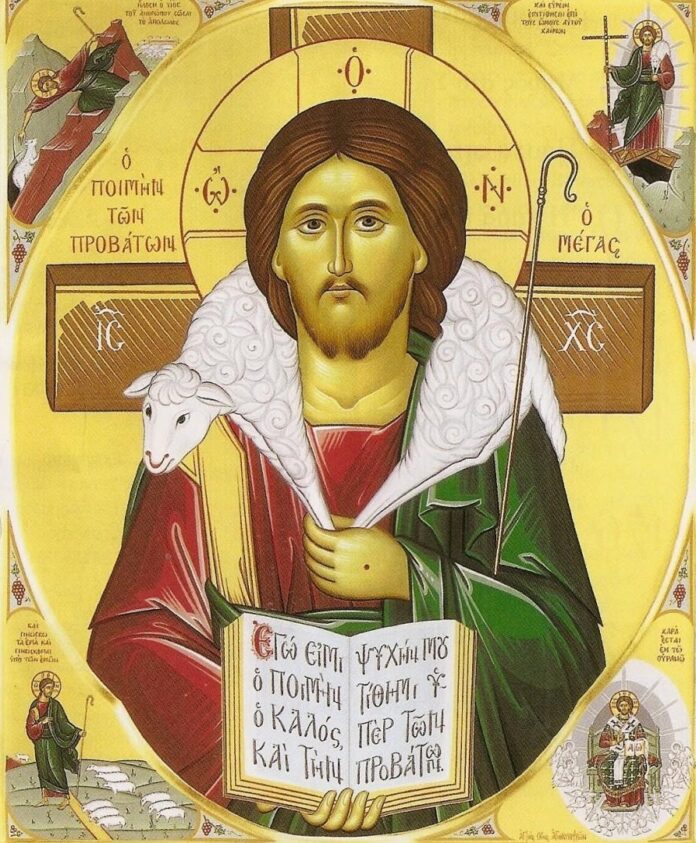 „Voi pune peste oile Mele un singur Păstor care le va paște”! – Fiecare dintre noi suntem chemaţi ca să ne apropiem de Dumnezeu, să-L căutăm cu iubire!