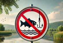 Interzis la pescuit! Perioade