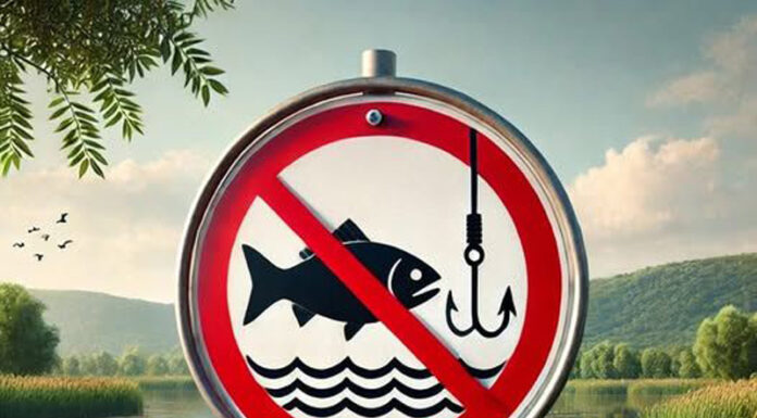 Interzis la pescuit! Perioade