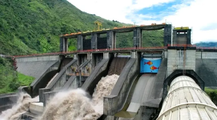 Statul a câștigat procesul cu ONG-urile de mediu