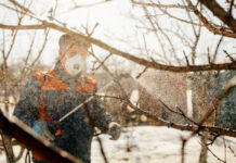 Agricultura pe înțelesul tuturor – Lucrări agricole în repausul vegetativ