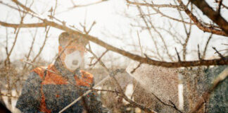 Agricultura pe înțelesul tuturor – Lucrări agricole în repausul vegetativ