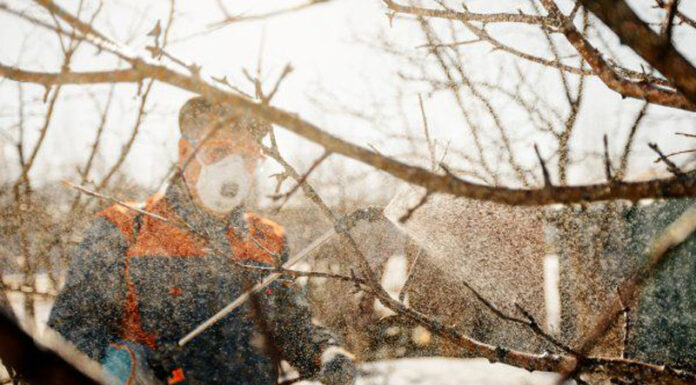 Agricultura pe înțelesul tuturor – Lucrări agricole în repausul vegetativ