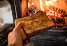 UE, hotărâtă să elimine total sobele pe lemne!