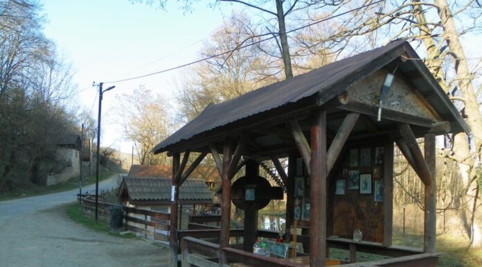 Astenii de primăvară – DE ECHINOX ÎN LUMEA „APEI VII”