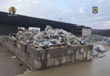 Percheziții de amploare în Gorj