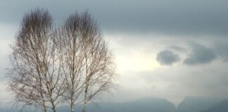 ASTENII PRIMĂVĂRATICE – Drumeția de primăvară, o opțiune pentru aceste zile