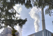 Restructurarea CEO ajunge pe masa CSAT. Guvernul schimbă și legea decarbonizării