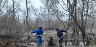 SGA Gorj: Lucrări de întreținere a digurilor Jiului și a altor râuri din județ