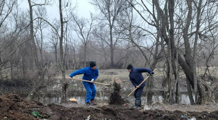 SGA Gorj: Lucrări de întreținere a digurilor Jiului și a altor râuri din județ